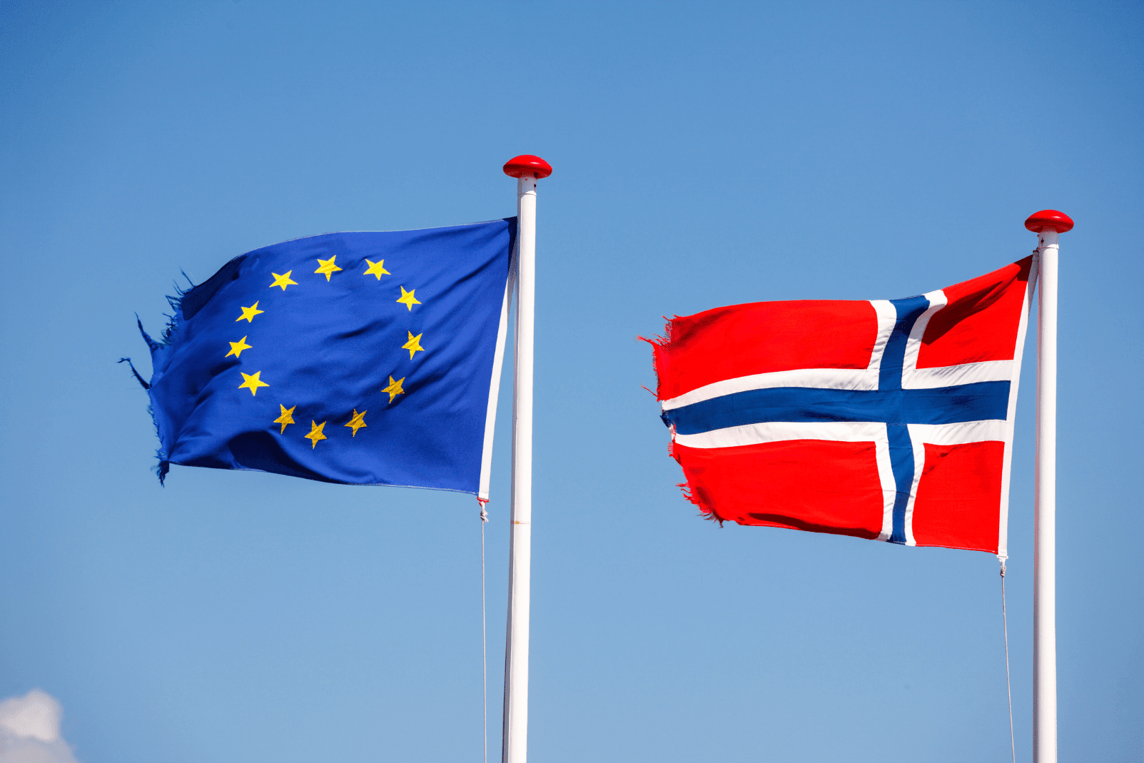 Europeisk og norsk flagg